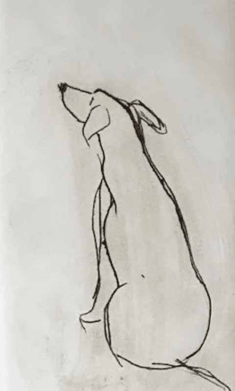 Gestural Dog — minimal ink wash sketch by Natalie Spinelli